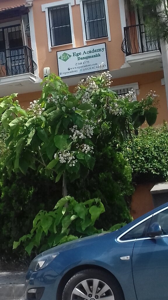 Educational center Ege Academy, Izmir, photo