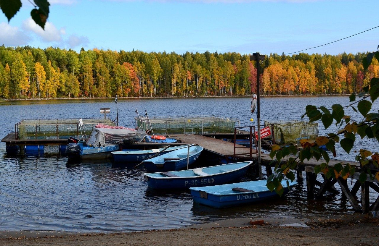 Фото Сандал