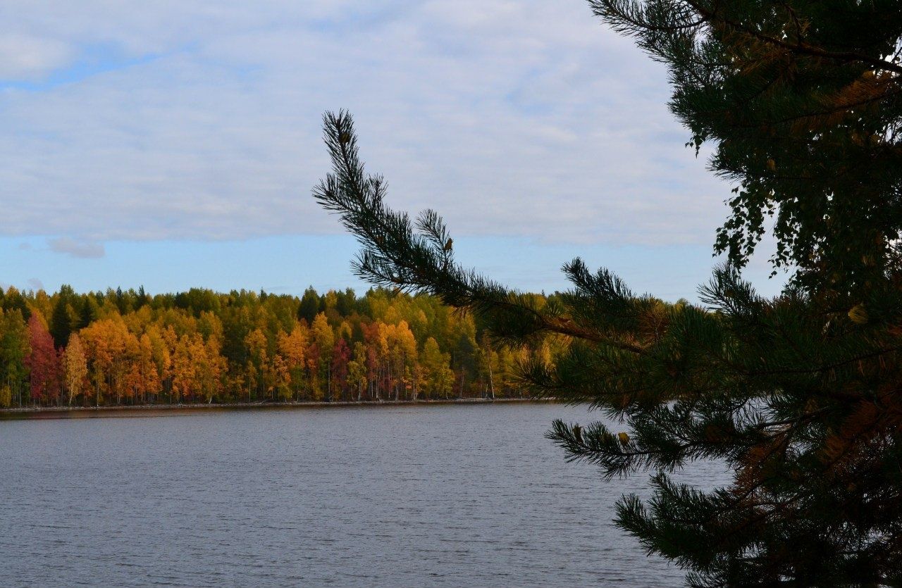 Фото Сандал