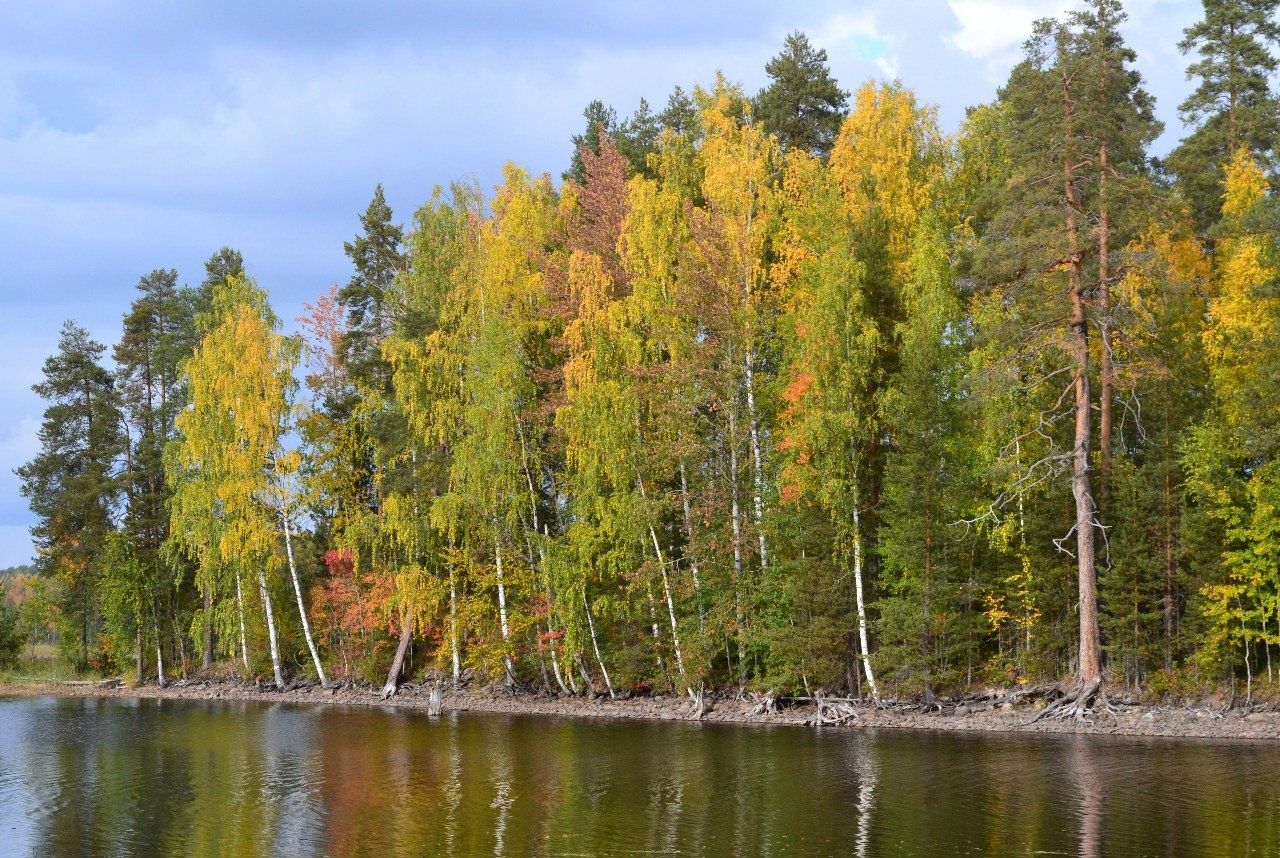 Фото Сандал