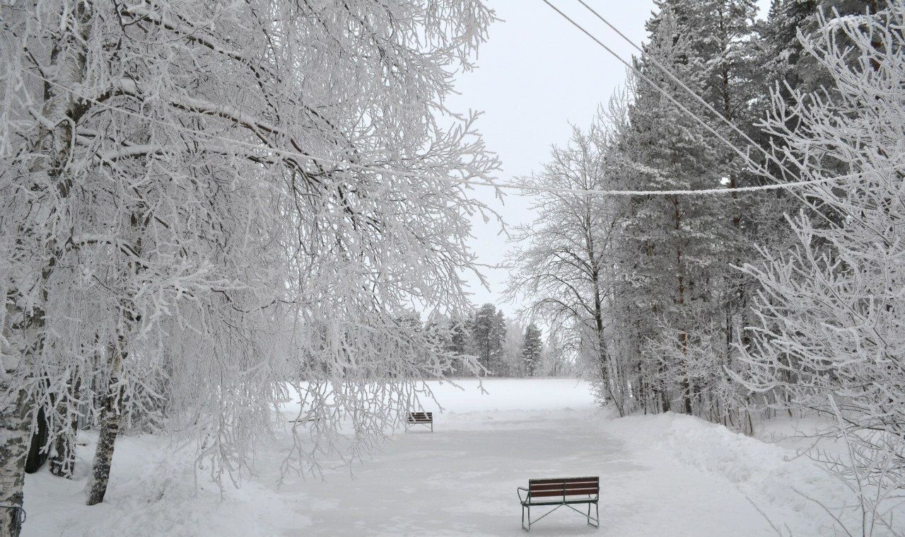 Фото Сандал