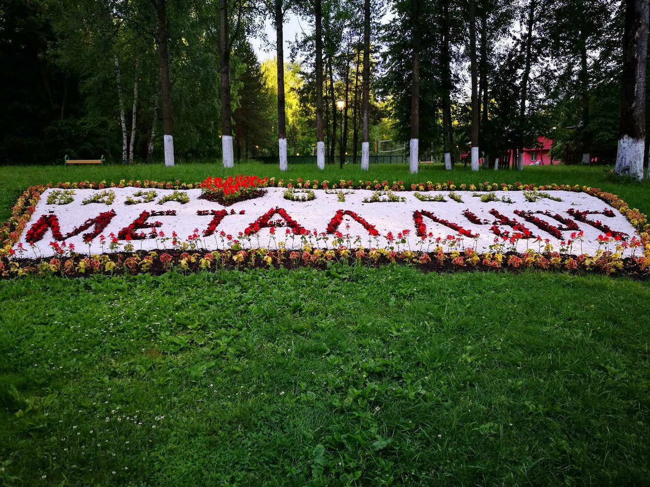 Фото Металлург