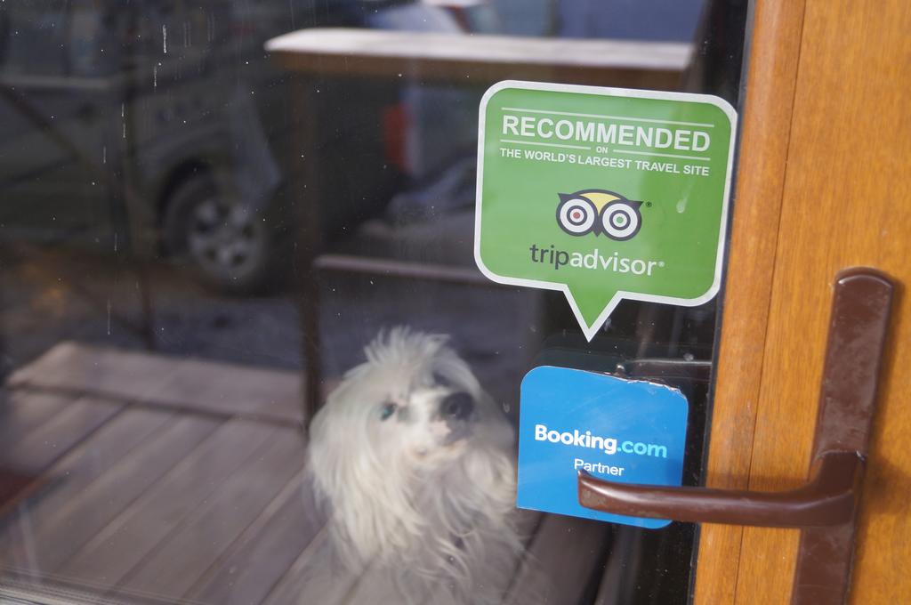 Фото Жемчужина Меганома