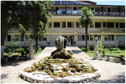 Фото Пицунда