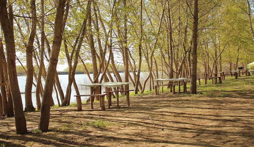 Фото Гремучий