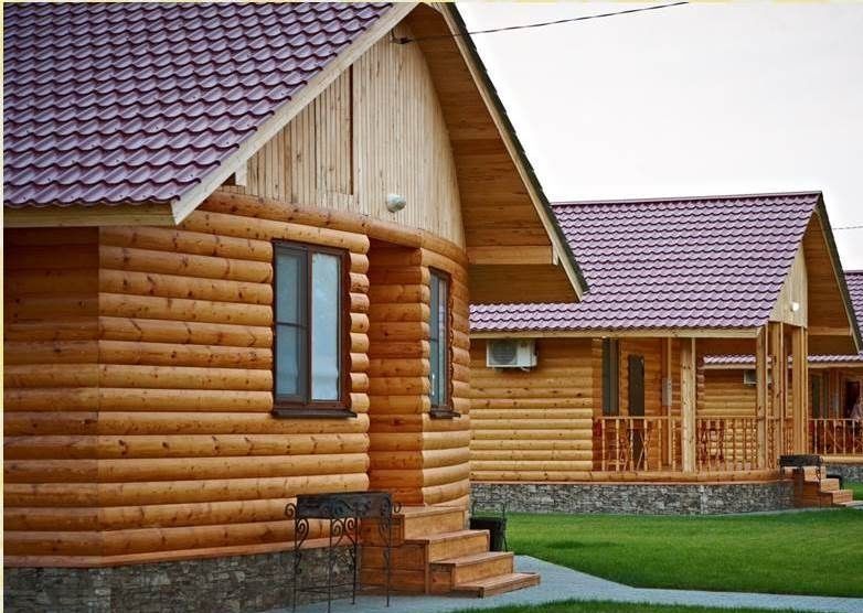 Фото Золотая рыбка