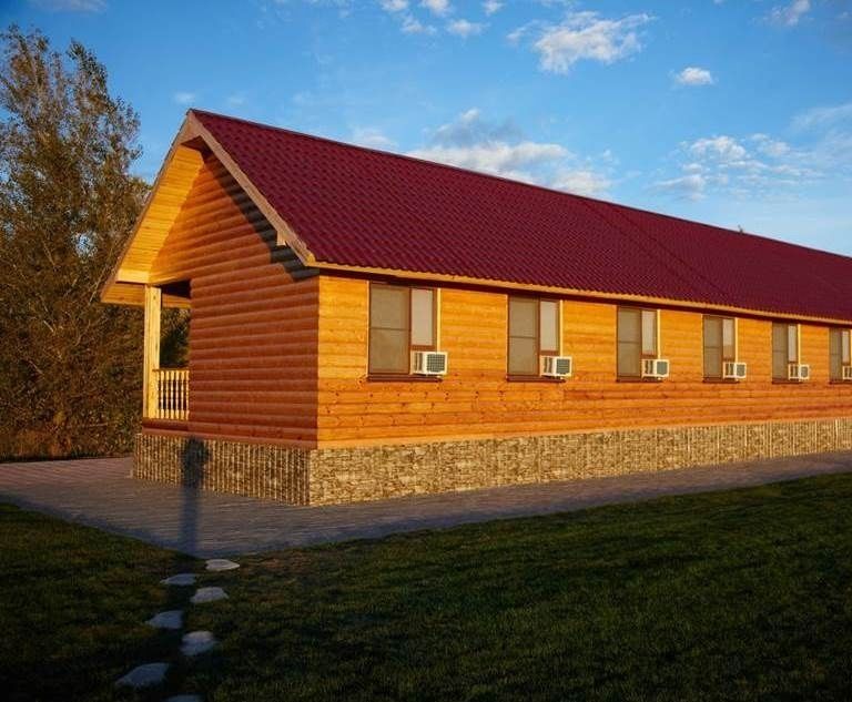 Фото Золотая рыбка