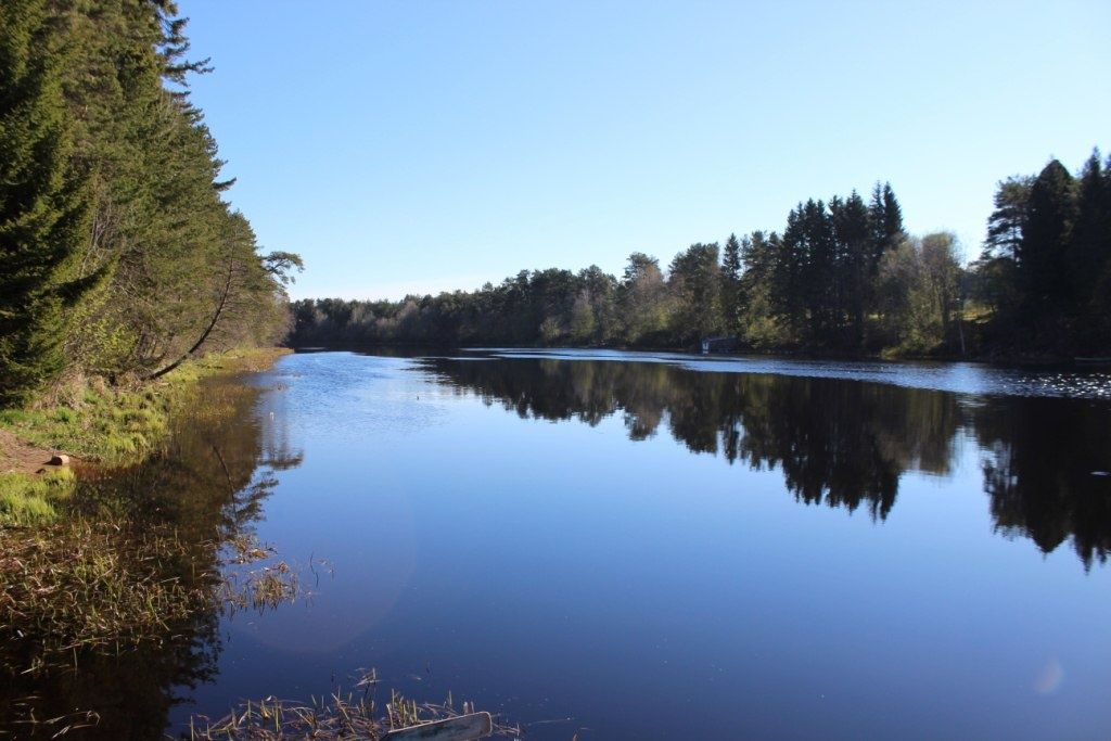 Фото Алавойне