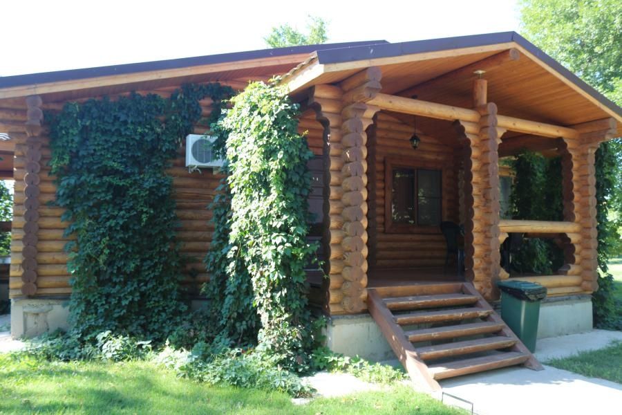 Фото Лесная