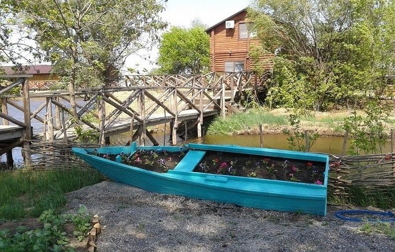 Фото Олигри Fish