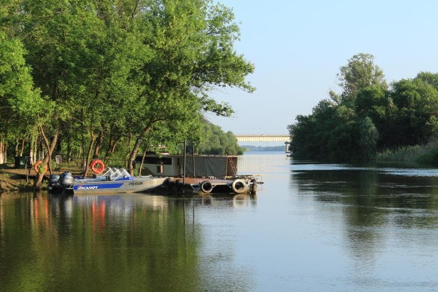 Фото Лесная
