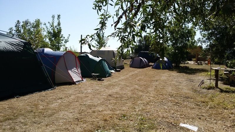 Фото Олигри Fish