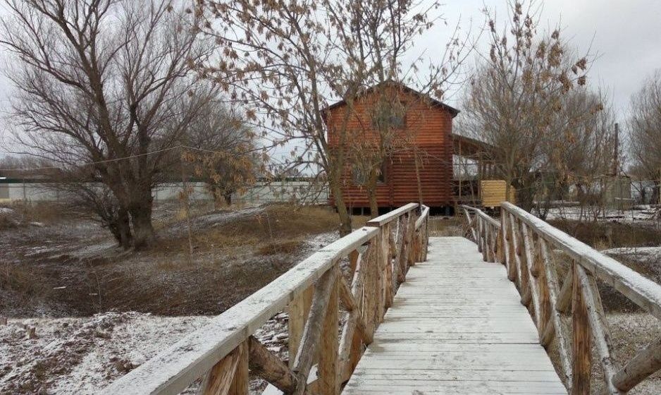 Фото Олигри Fish