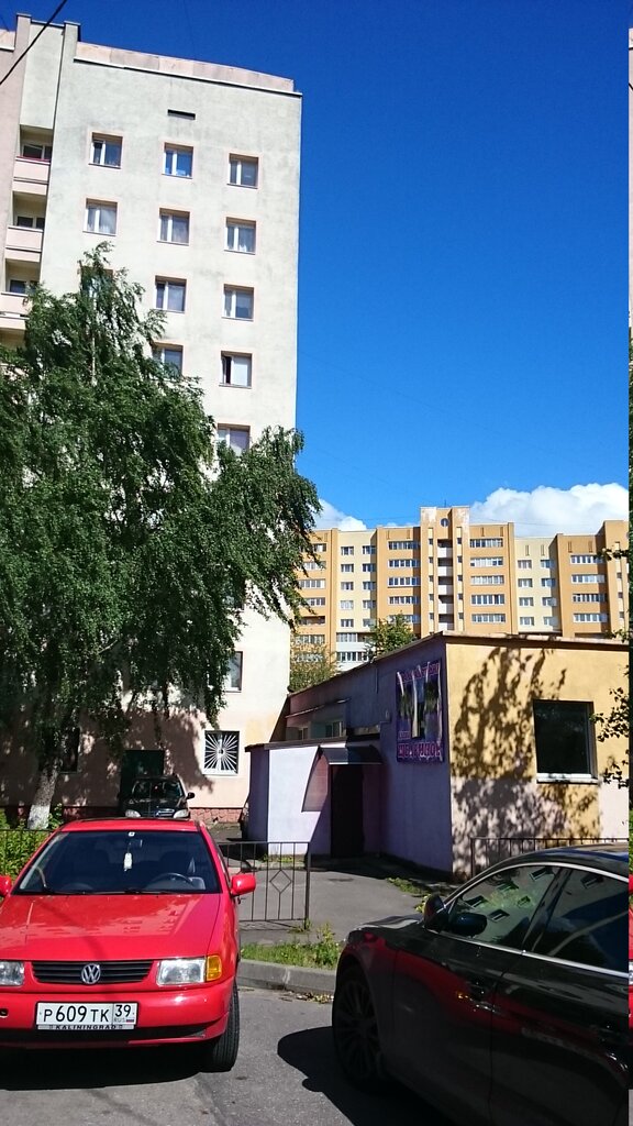 Music school Studiya estradno-stsenicheskogo masterstva Yeleny Shchedrinoy, Kaliningrad, photo