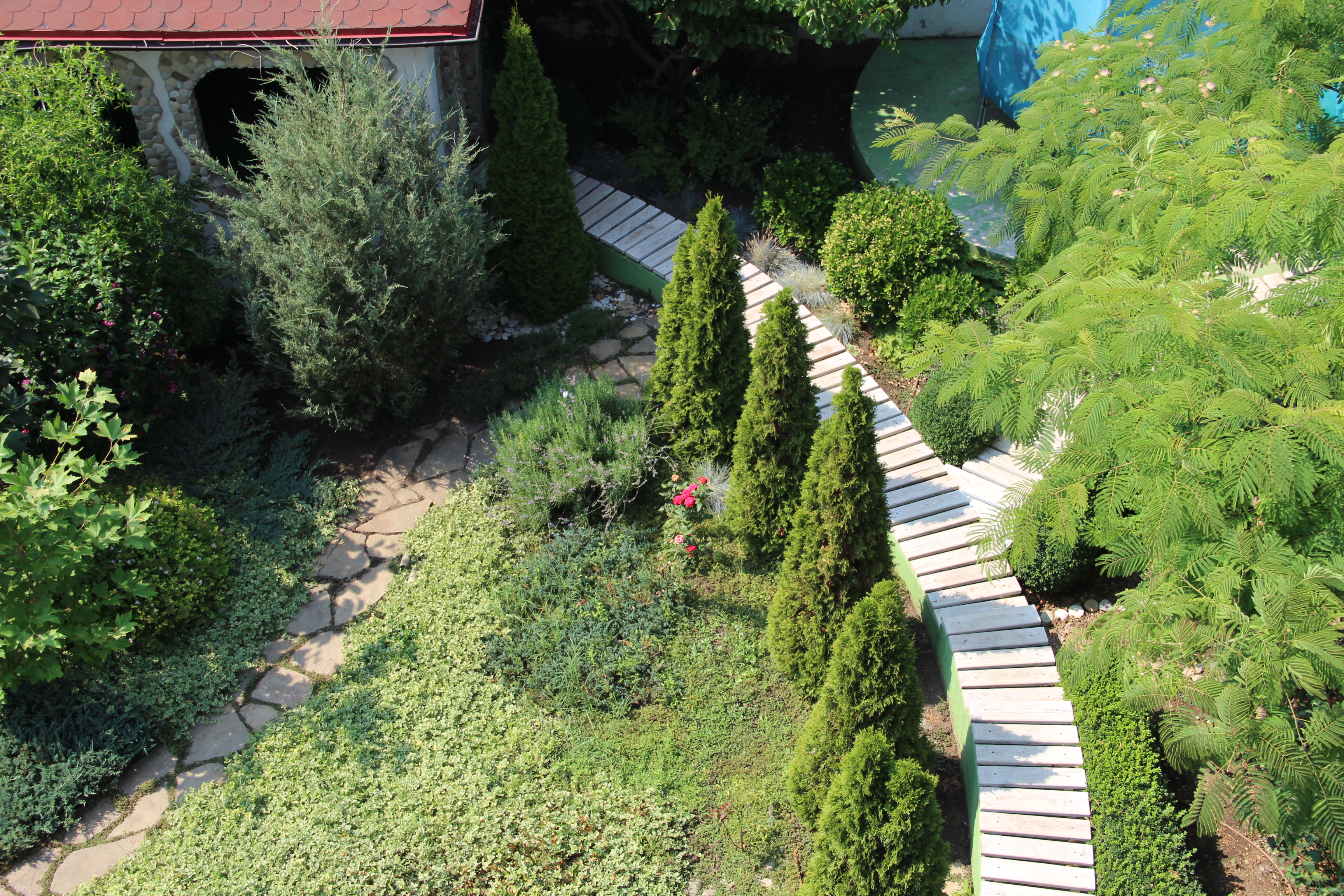 Фото У Старого Абрикоса