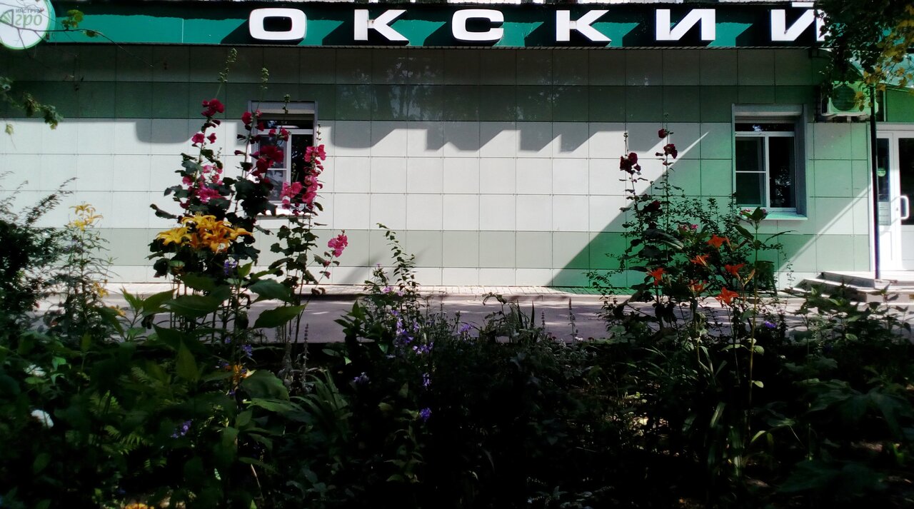 Кирова 2 Магазин Садовод
