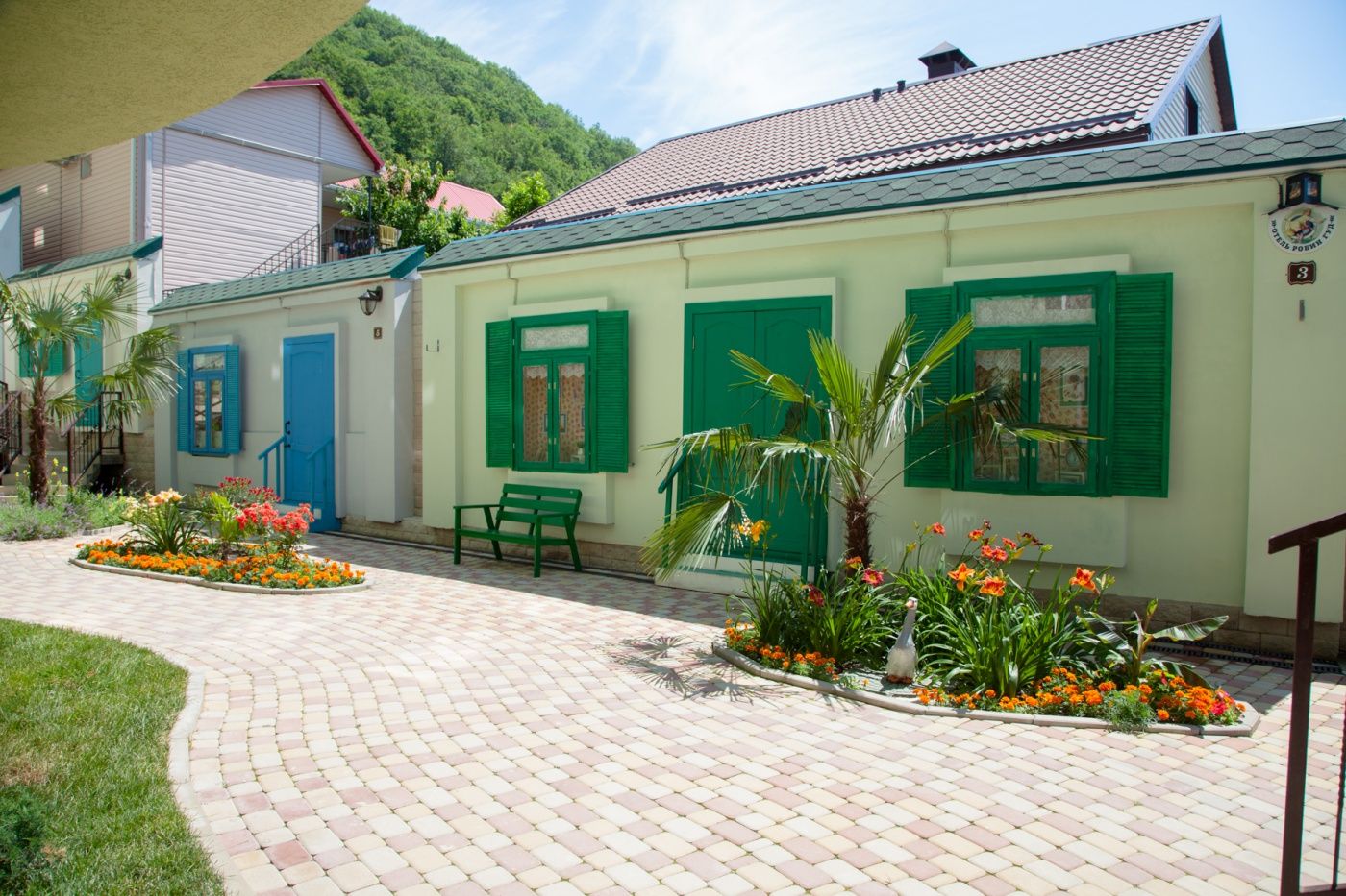 Фото Лаванда