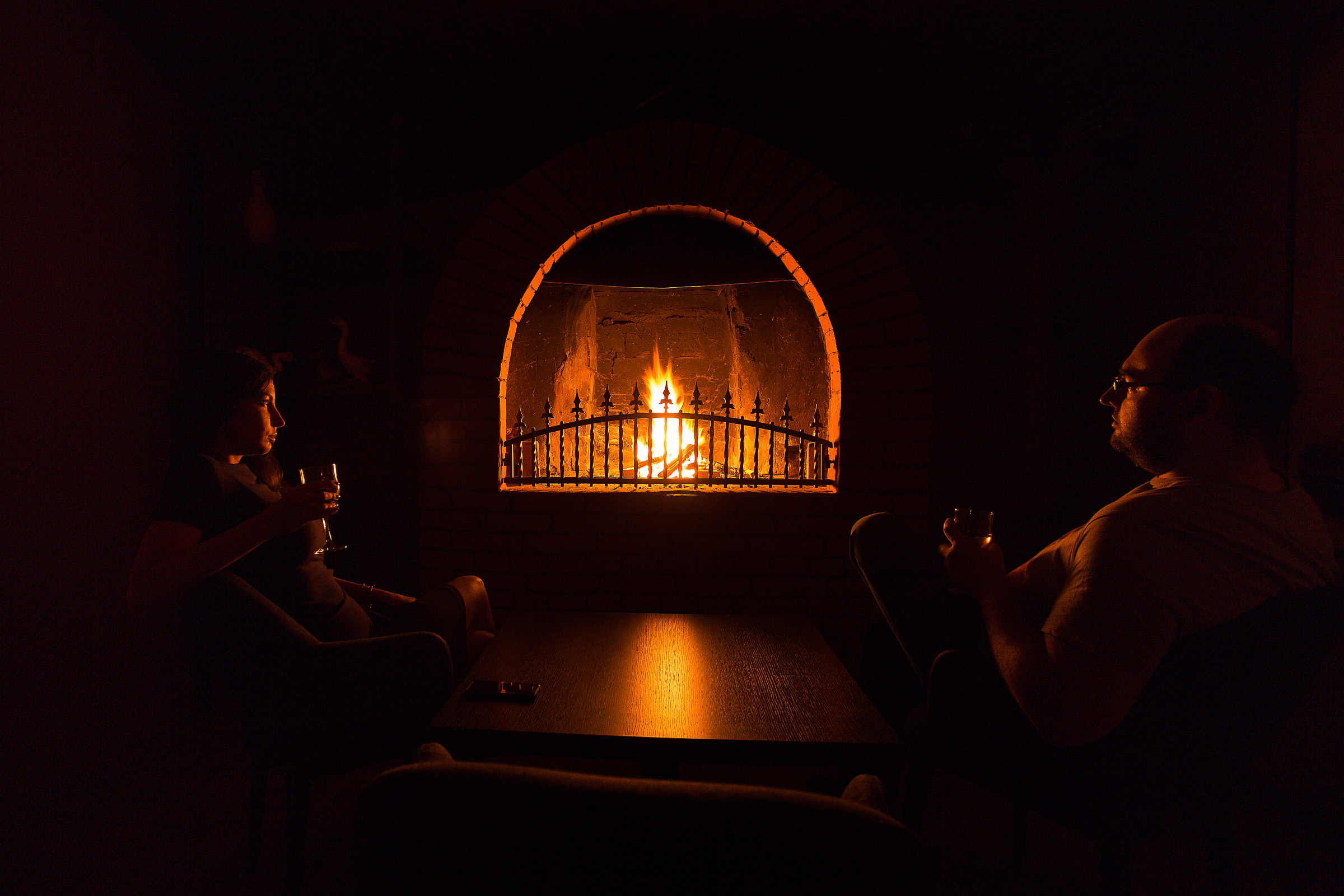 Фото Серый гусь