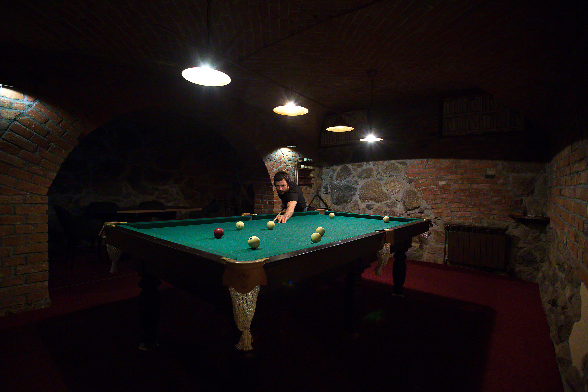 Фото Серый гусь