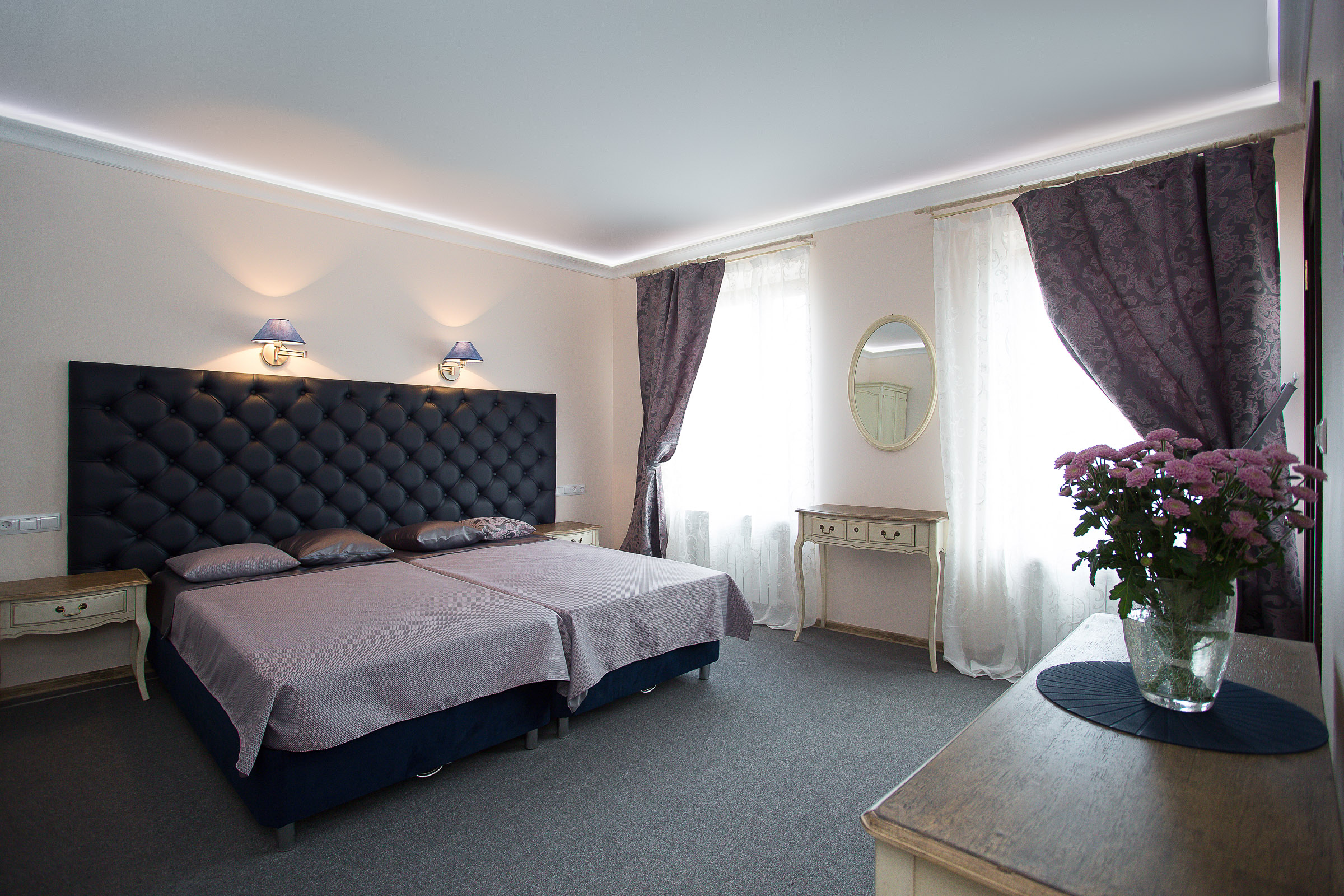 Фото Серый гусь