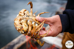 Mr. Crab Seafood Restaurant (Nieuwezijds Voorburgwal, 115, Амстердам), ресторан в Амстердаме