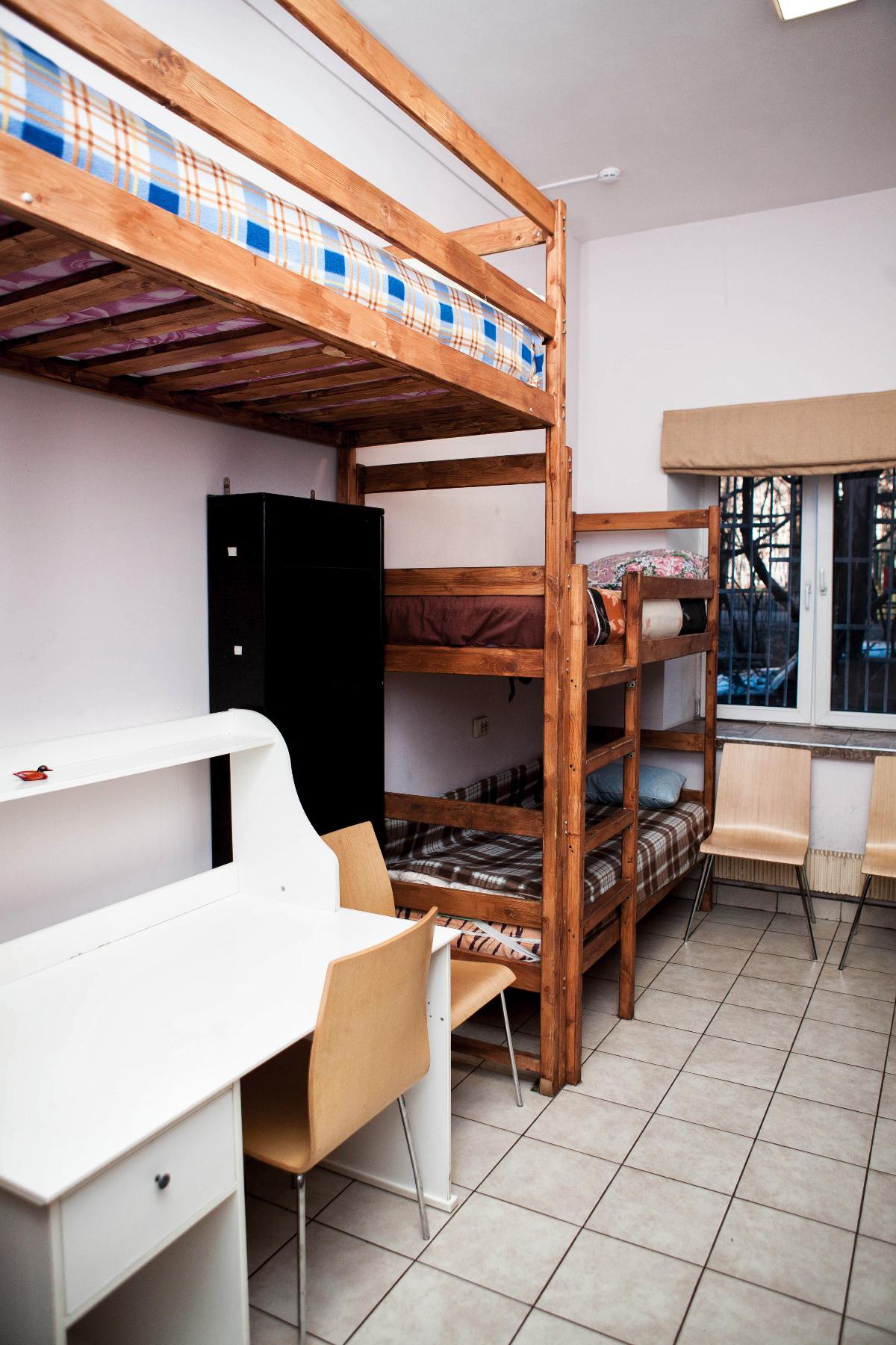 Фото Вежливый Лось на Туристской