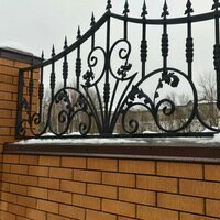 Wrought iron Zhelezny master, Pskov, photo