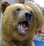 Torgovy tsentr Berloga (Pervomayskaya ulitsa, 35), hardware store