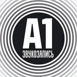 A1 (13th Vasilyevskogo Ostrova Line, 72), further education