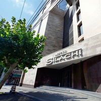 Фото Ani Central Inn