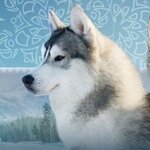 Altai Rocks (selo Solnechnoye, Pervaya Street, 49), animal nursery