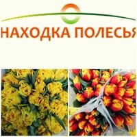 Сельскохозяйственное предприятие Находка Полесья, Брестская область, фото