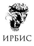 Ирбис (ул. Бабушкина, 4), строительные и отделочные работы в Смоленске