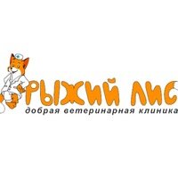 Логотип «Рыжий лис»