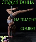 Colibri pole dance studio (Petra Nesterova Street, 3), dance school