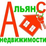 Agentstvo nedvizhimosti AlyanS (Industrialnaya ulitsa, 62), real estate agency