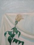 Школа живописи Черепановой Александры (Большая Почтовая улица, 36), escuela de artes