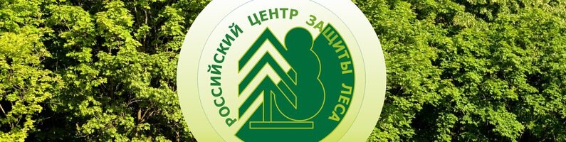 State supervisory bodies Центр защиты леса Республики Марий Эл, Yoshkar‑Ola, photo