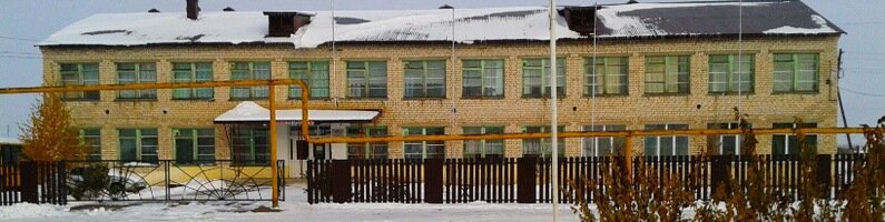 Общеобразовательная школа ГБОУ СОШ села Нижнеаверкино, Самарская область, фото