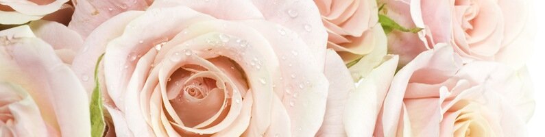 محل زهور Delivery service of flowers to Vinnitsa, Dial Service ، ، صورة