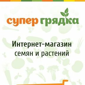 Часы Работы Магазина Грядка