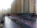 Прагма City (Ольгинская дорога, 3/20), жилой комплекс в Санкт‑Петербурге