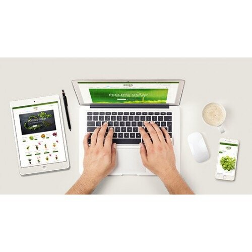 Internet marketing Internet-agentstvo Rostim.com, Moscow, photo