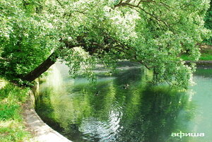 Neskuchny Garden (Moscow, Neskuchny Garden), park