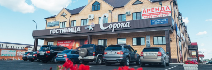 Фото Сорока