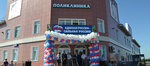 Калманская центральная районная больница (selo Kalmanka, ulitsa Dzerzhinskogo, 42) ، مستشفى