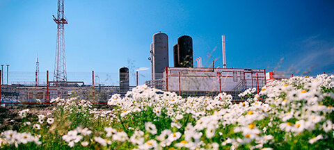 Oil and gas company Territorialnoye proizvodstvennoye predpriyatiye Lukoyl-Ukhtaneftegaz, Uhta, photo