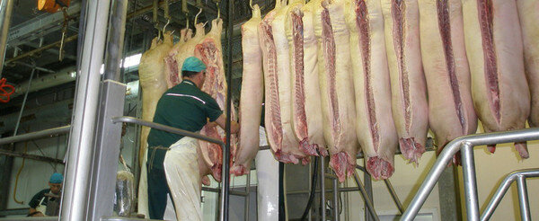 Food manufacturers LLC Yadrinskiy myasokombinat Chuvashpotrebsoyuza, Yadrin, photo