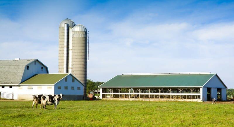 Agricultural enterprise Krestyanskoye khozyaystvo Khoroshavina Andreya Vasilyevicha, Chuvash Republic, photo