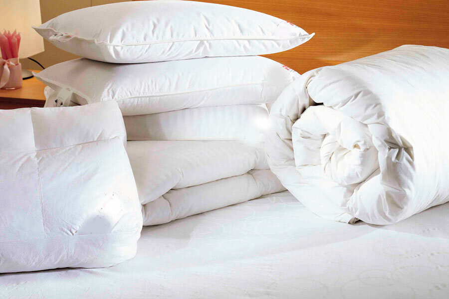 Domestic services Chisty pukh, Tula, photo